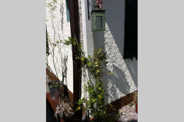 Haus Tulpe Apartment Strobl Exterior photo